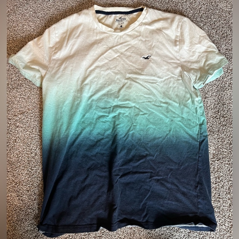 Hollister Multi-Colored Large Shirt Sz L